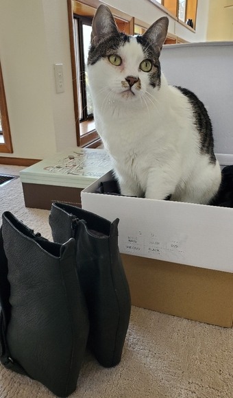 Welcome to my closet! - Picture 5 of 7